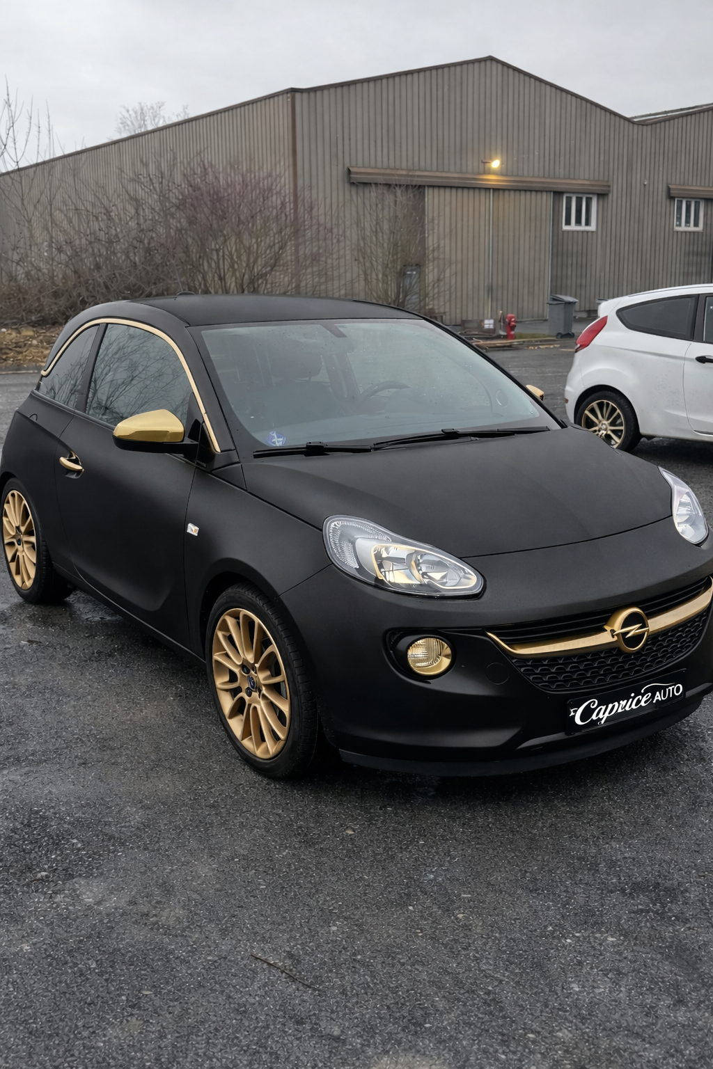 opel adam mat finition gold